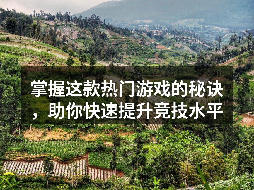 掌握这款热门游戏的秘诀，助你快速提升竞技水平